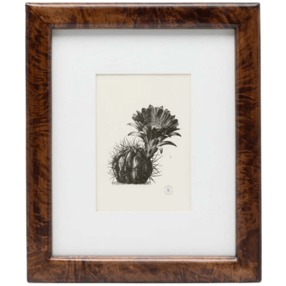 Nelson Wall Frame